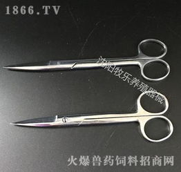 不锈钢医用剪与宠物器械 专业手术剪的全方位解析与批发指南